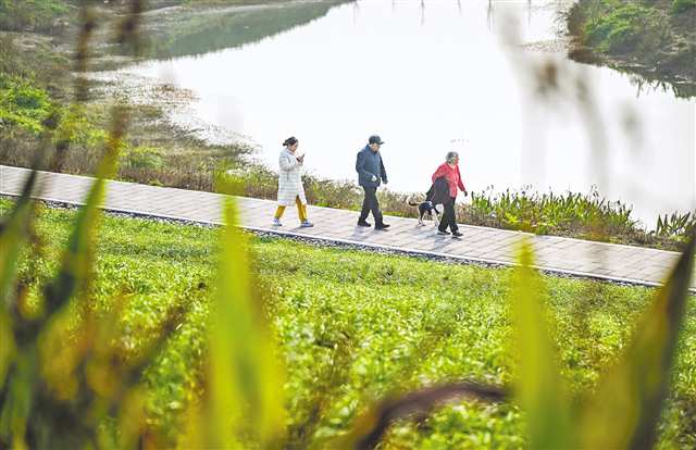 市级统筹 沿河三区协同共治1.jpg