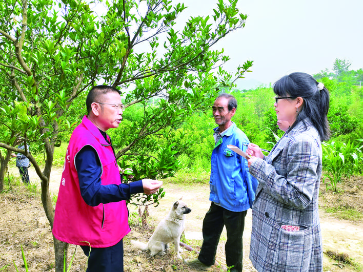 重庆万州：农业科技创新助推乡村振兴