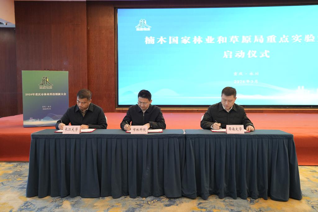 重庆首个楠木国家林业和草原局重点实验室正式启动建设2.jpg