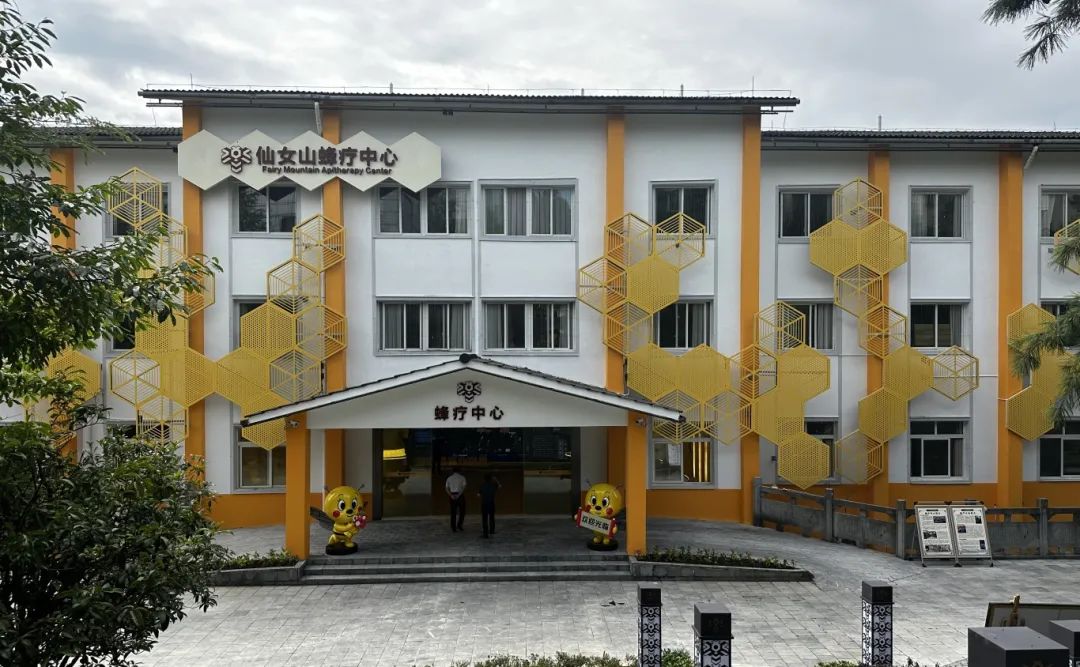 建智能蜂箱、开蜂疗门诊、让蜂蜜走上国际舞台 武隆用小蜜蜂撬动大产业2.jpg