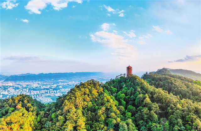 “一盘棋”统筹 “全链条”推进1.jpg