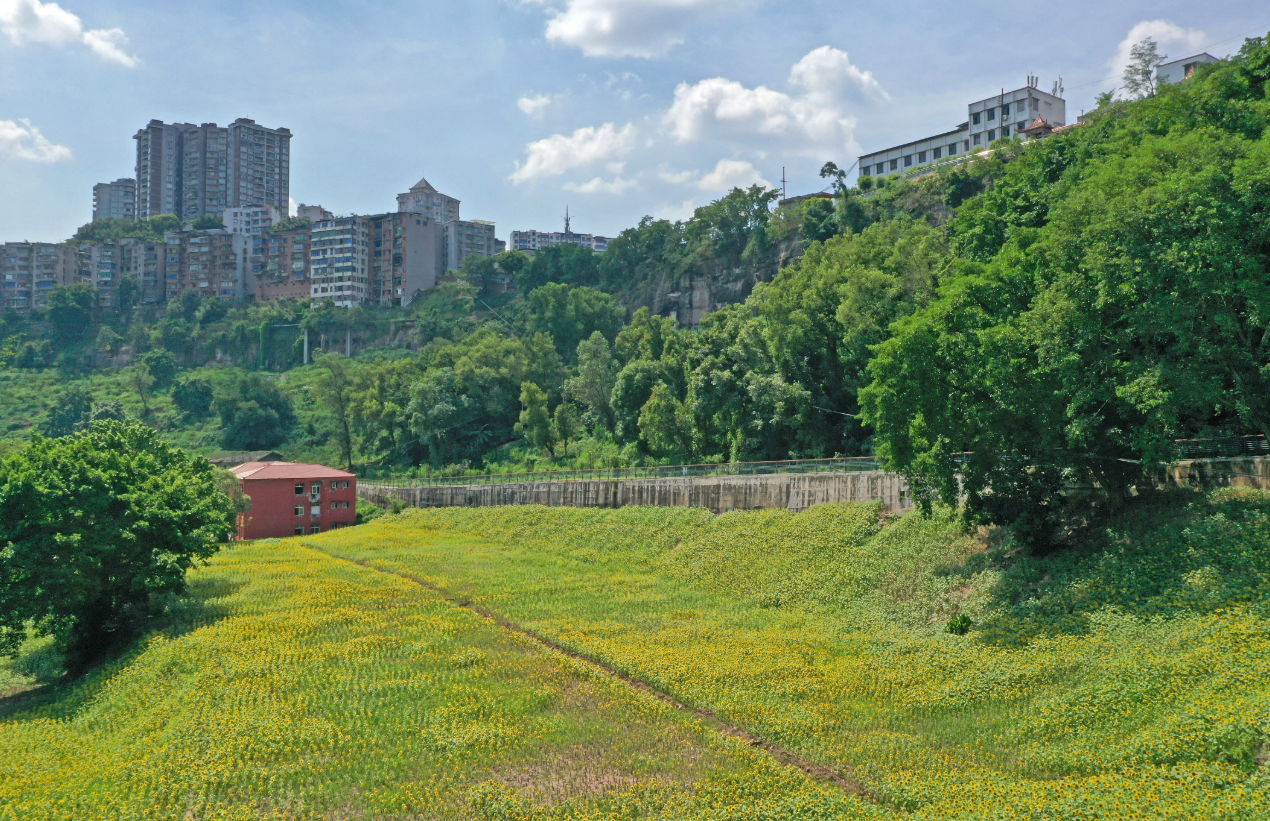 长寿城市绿道:在山水“更新”间留住城与人3.png