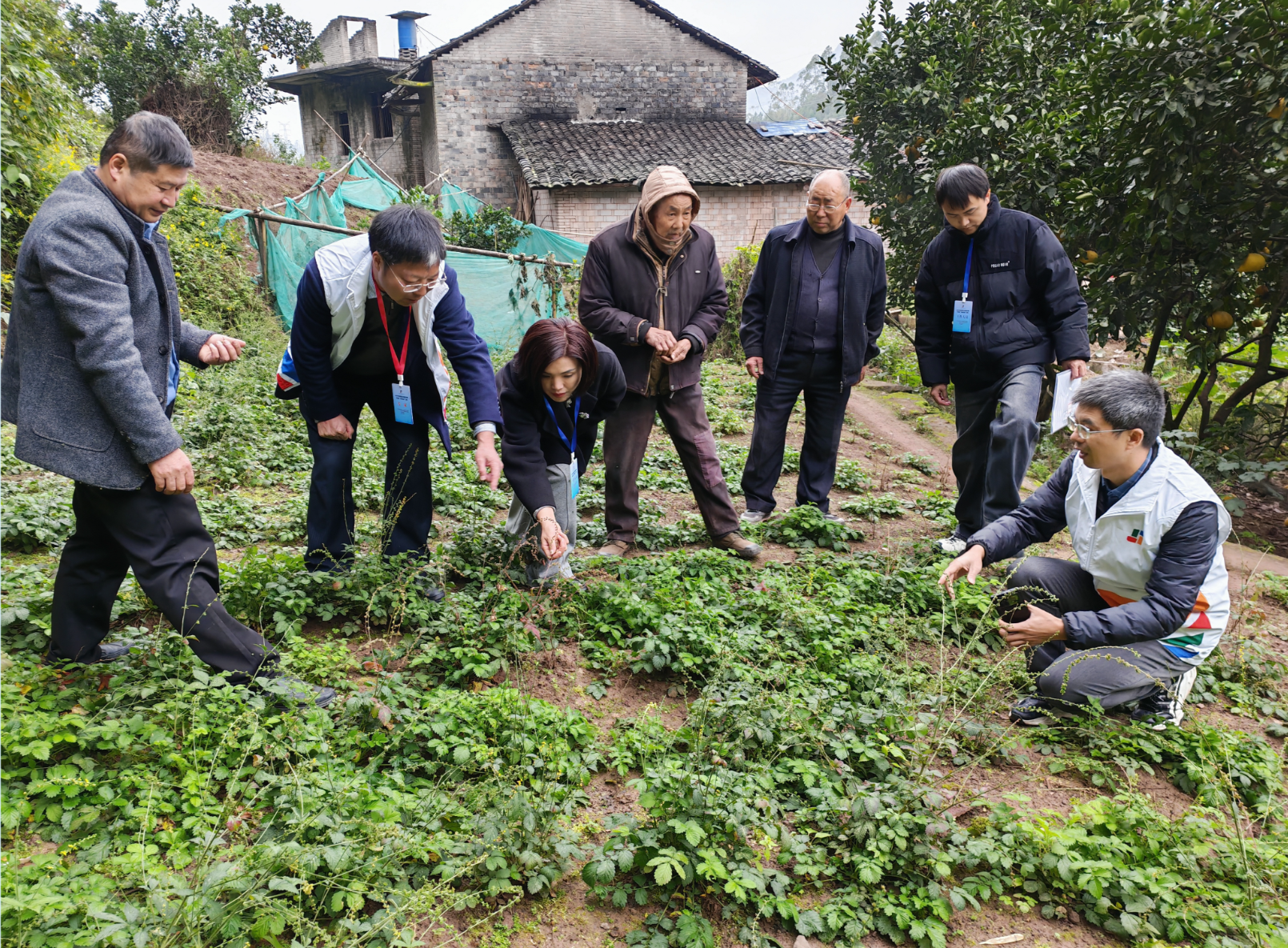 三天走访,长期“在线”:11名成渝专家受聘忠县,精准“把脉”特色产业2.png