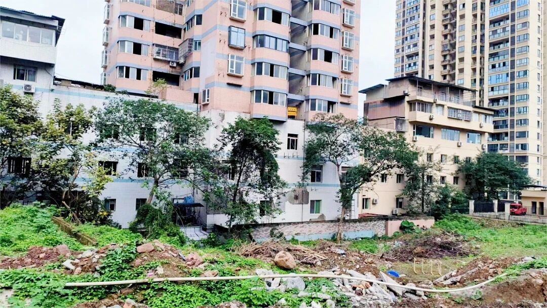 探索超大城市现代化治理新路子!重庆“五维发力”破解交通拥堵难题10.jpg