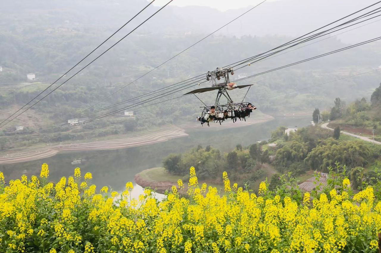 177304433669548585004750462200 (1).jpg